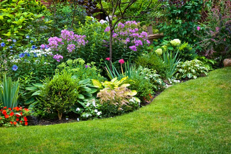 The Benefits of Professional Flower Bed Installation