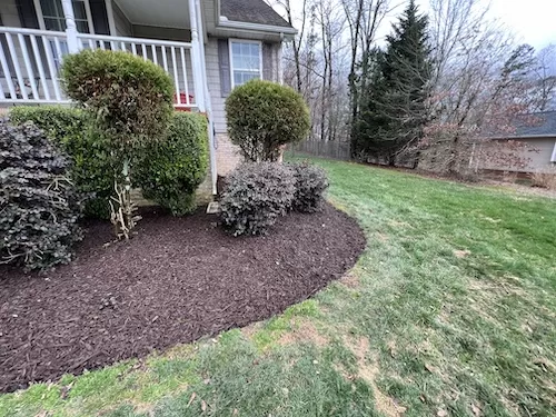 Flower Bed Installation